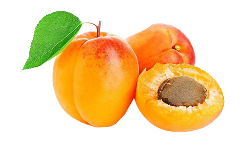 Apricot Pulp