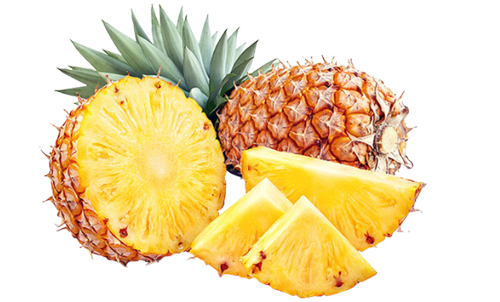 Pineapple Pulp